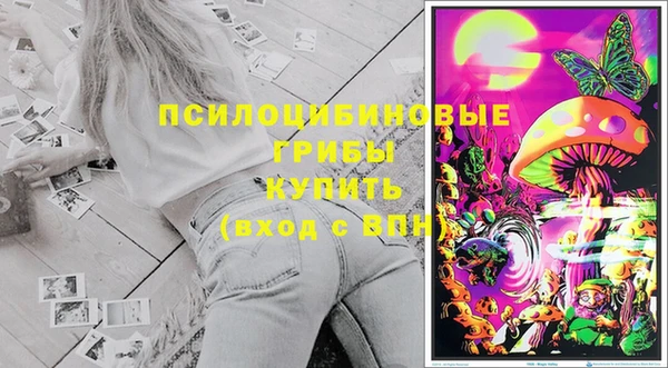 стафф Аркадак