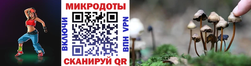 Галлюциногенные грибы Cubensis  Сокол 