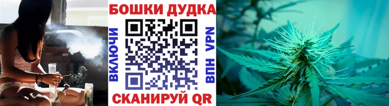где купить наркотик  МЕГА ССЫЛКА  Канабис индика  Сокол 
